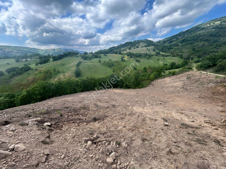 Uzmanlar'dan İznik Bayındır 5504 M2 Satılık Fırsat Tarla