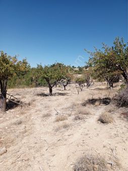 Türe Gayrimenkulden Mut Kürçü Mahallesinde 48200 M2 Satılık Tarla