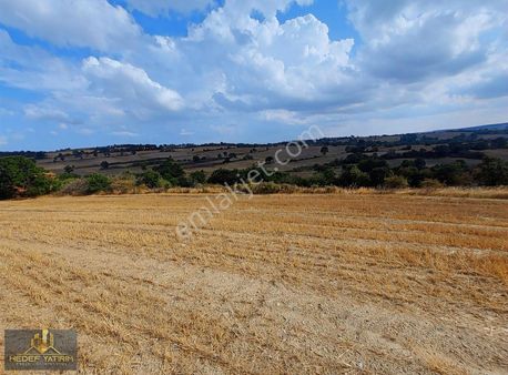 Yolu Mevcut Tektapu Arazim İlk Gelene Hayırlı Olsun [ 6.052 M2 ]