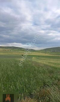 36 Dönüm Bezirhane'de Tek Tapu Yatırımlık Arsa