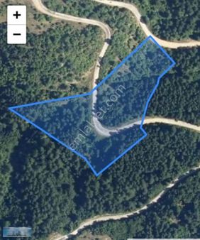 Bolu Mengen Çorakkadirler Köyü 18.300 M² Satılık Tarla