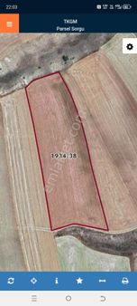 My Ekipdeneskişehir Alpu Mamurede Satılık Arazi