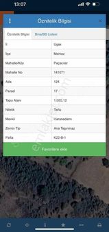 Temenos'tan Paçacılarda Ceviz Bahçesi