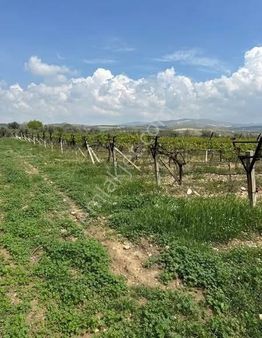 Filo Gayrimenkul'den Toygar Mahallesinde 9500 M2 Satılık Bağ