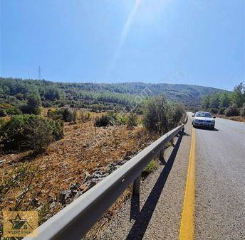 Muğla Akkaya Yatırımlık Fırsat Satılık 741 M2 Hisseli Tarla