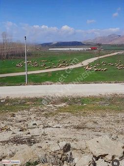 Korkuteli Manay Köyünde Satılık 8.500 M2 Tarla