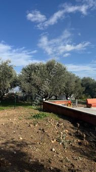 Beyaz Gayrimenkulden Karaoğlanlı 203 M2 Villa İmarlı Arsa