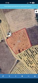 Bilecik Söğüt Küre Köyünde Resmi Yola Cephe İçinde Çeşitli Meyva Ağaçları Olan 2639m2 Tarla