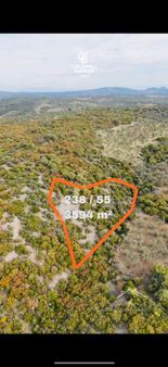 Çanakkale'de Deniz Manzaralı Zeytinlik