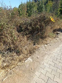 Karacasu Yaylada Arsa