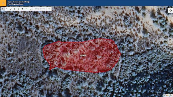 Başkan Emlaktan Satılık Söğüt Geçitli Köyünde 6.640 M2 Tarla.