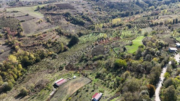 Altın Emlak’tan Pirceler Köyünde Fırsat Arsa