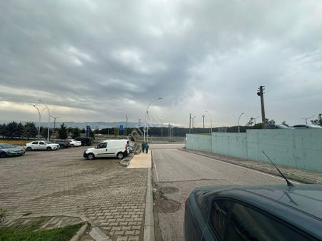 Körfez Yarımca'da 1+1 Masrafsız Uygun Fiyata Kiralık Ofis