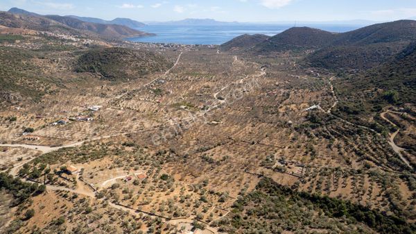 Datça Palamutbükünde 16.414 M2 Deniz Manzaralı İmarlı Arsa