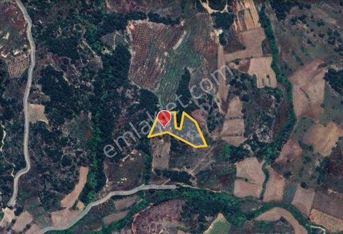Muğla Menteşe Algı Da Satılık 5200 M² Tarla