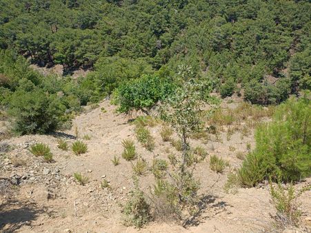 Locate'den İzmir Karabağlar Kavacık Köyünde Satılık Bağ