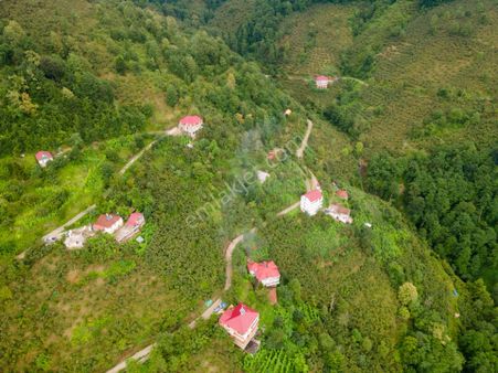 Cep Telefonu Fiyatına ! Giresun'da 422 M² Köyiçi İmarlı Parsel