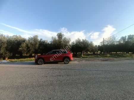 Havran Ebubekir Mah 5 Kat İmarlı Arsa