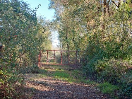 Köyceğiz Toparlar Da Göle Yakın 9 600 M2 Arazi Satılık