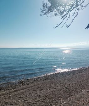 Ayvacık Arıklı Assos Sahil Yoluna Cephe 140 M2 İmarlı Arsa