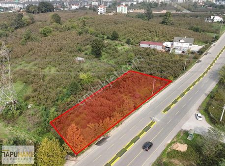 Fırsat ! - İmar Sınırında Şehir Merkezinde 1900 M2 Satılık Arsa