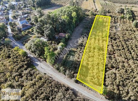 Tapuhane'den Çayırbaşında 3670 M2 Satılık Fındıklık