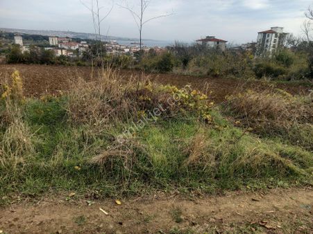 Altınovada Satılık 5 Kat İmarlı Arsa