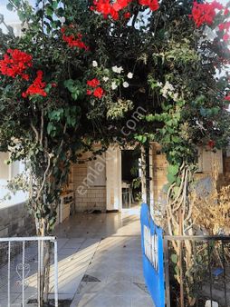 Kuşadası Kadınlar Denizinde Bahçeli Yazlık Trıbleks