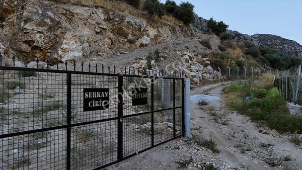 Zeytinlik Ana Yola 50 Metre