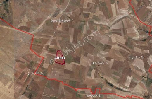 Gölbaşı Velihimmetli Mah'de 1.300 M2 Satılık Tarla Pala Emlak