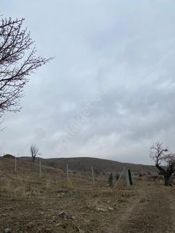 Tohumlar Mah 1515 M2 Çevrili Az Hisseli Satılık Tarla Pala Emlak