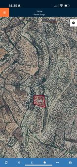 Rota'dan | Fırsat | Yatırıma Uygun Zeytinlik