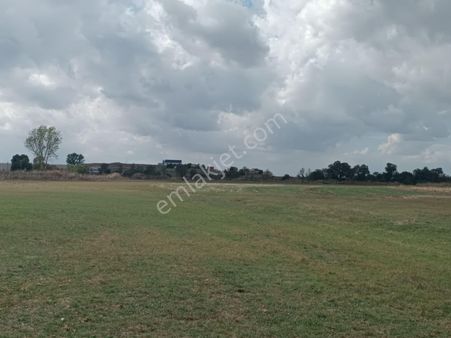 Köyün Dibinde Acil Satılık