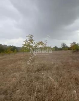 Bursa Kestelde Değerli Lokasyonda Satılık Tek Tapu Tarla