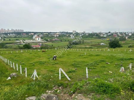 Furkan Emlak'tan Kıran Mah.750m2 5 Kata İmarlıtektapu Arsa