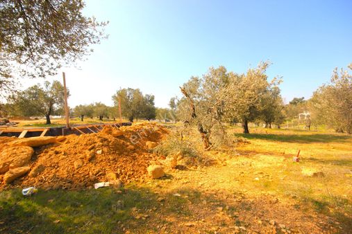 🔰🔰aktif'ten Pelitköy'de Harika Konumlu 340 M2 Kullanım Alanı Olan Satılık Arsa 🔰🔰