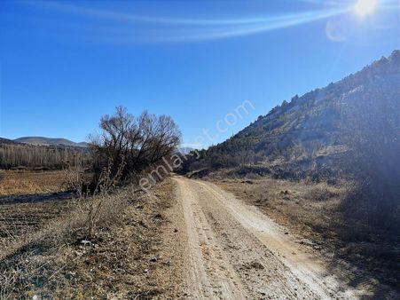 Başarakavakta Müstakil 1766m2 Yolu Olan Satılık Bahçe Yeri