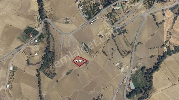 Höbek'te Köyiçi 1931 M² Tarla