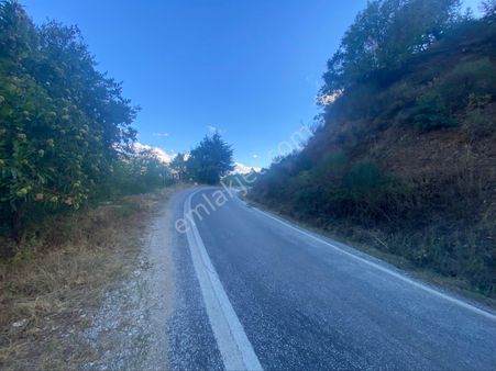 İzmir Ödemişte Satılık Arazi