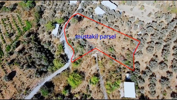 Doğanın Kalbinde Yatırım Fırsatı!