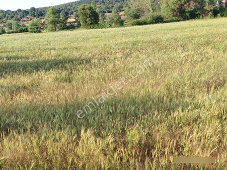 Hega'dan İvrindi Erdel Köyünde Kısmi Mücavir Alan İçerisi Tarla