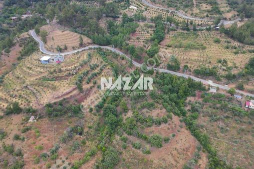 Gündoğmuş Köprülü'de 6.759 M² Satılık Tarla