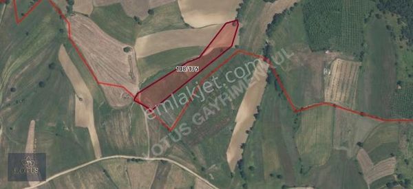 İzmit Merkeze Yakın Süverlerde 9.000 M2 Satılık