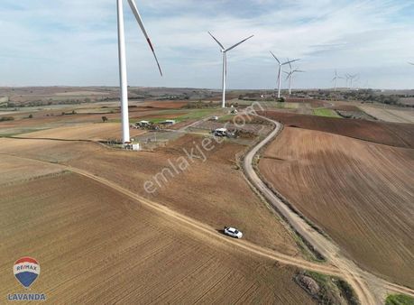 Tekirdağ Muratlı Balabanlı Köyünde 2.257 M² Satılık Tarla