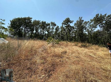 Kestel Ümitalan Köyünde Hobi Bahçesi