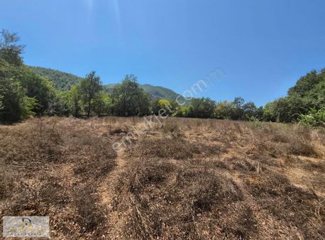 Kayaköy'ün Benzersiz Atmosferinde Satılık Arazi