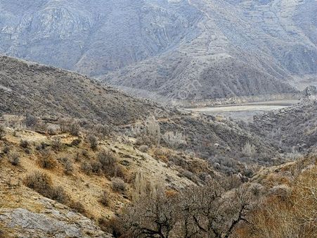 Konal / Felahiye Silahtar'da Uygun Fiyata Tek Tapu Bağ