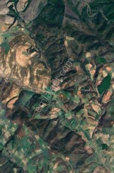 Hayrabolu,cambazdere,mh Köy,ana,yolu,üzeri,anlık,fiyat,düz,tarla