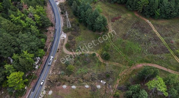 Marmaris Turunç Anayolu Üzerinde Anayola 100 Metre Cepheli Tarla