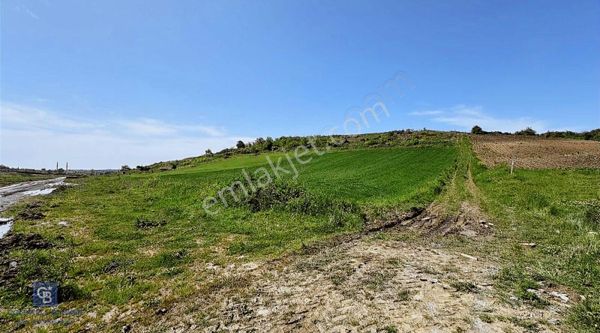 Haraçıda Çevrili 215 M2